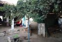 Aydın Efeler Kuyulu Mahallesinde Yatırıma Uygun Satılık Bahçeli Müstakil Köy Evi
